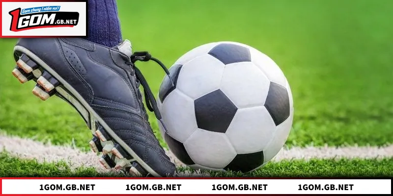 1GOM - Link Vào Nền Tảng 1GOM.COM Chính Thức Tại Việt Nam Các chuyên mục tiêu biểu được tổng hợp trên nền tảng 1GOM