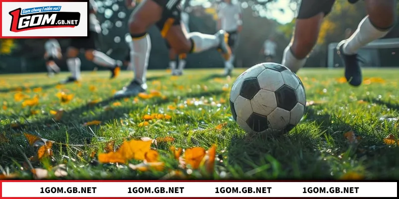 Đăng Ký 1GOM - Hướng Dẫn Tham Gia Nền Tảng Thể Thao Uy Tín