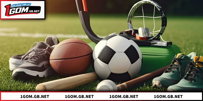 Ưu điểm to lớn của chính sách bản quyền 1GOM